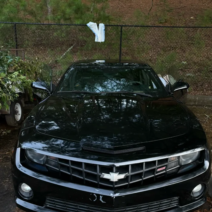 Full Detail & Mold Restoration in Atlanta