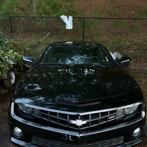 Full Detail & Mold Restoration in Atlanta